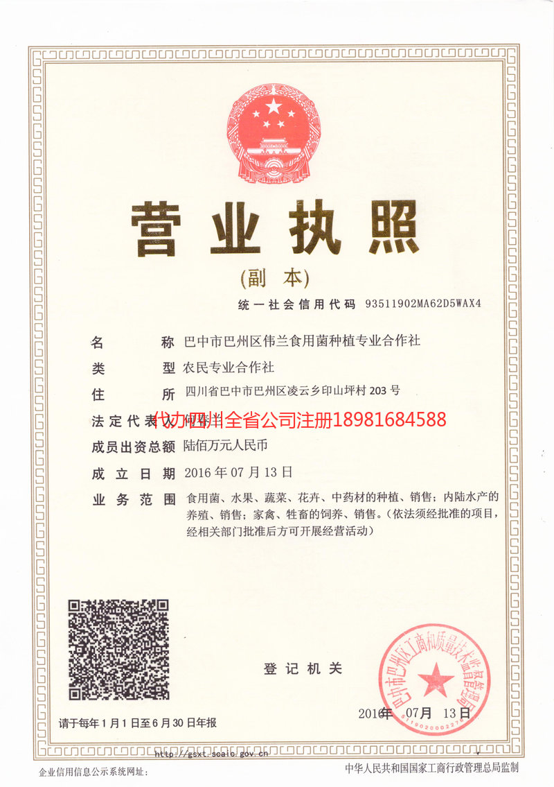 黑龙江黑龙江伟兰食用菌种植专业合作社